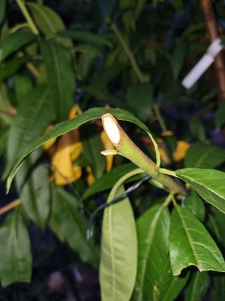 우묵골님의 자유주제 · 자유게시판 작성글 사진