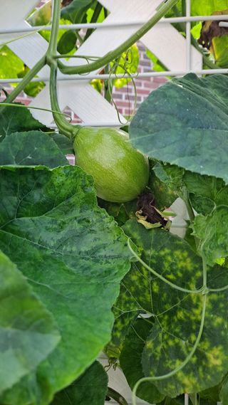 MSG0074님의 자유주제 · 자유게시판 작성글 사진