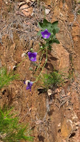 MSG0074님의 자유주제 · 자유게시판 작성글 사진