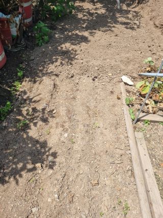 김용대님의 자유주제 · 자유게시판 작성글 사진