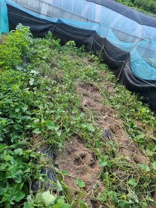 우묵골님의 자유주제 · 자유게시판 작성글 사진