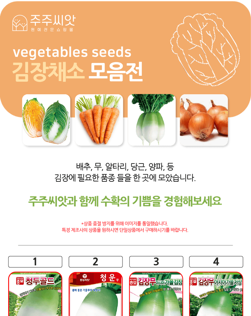 주주씨앗님의 장터 판매 상품 [2025 김장채소 씨앗 모음전 / 무, 배추, 갓, 양파, 시금치, 알타리, 당근 씨앗] 첨부 사진