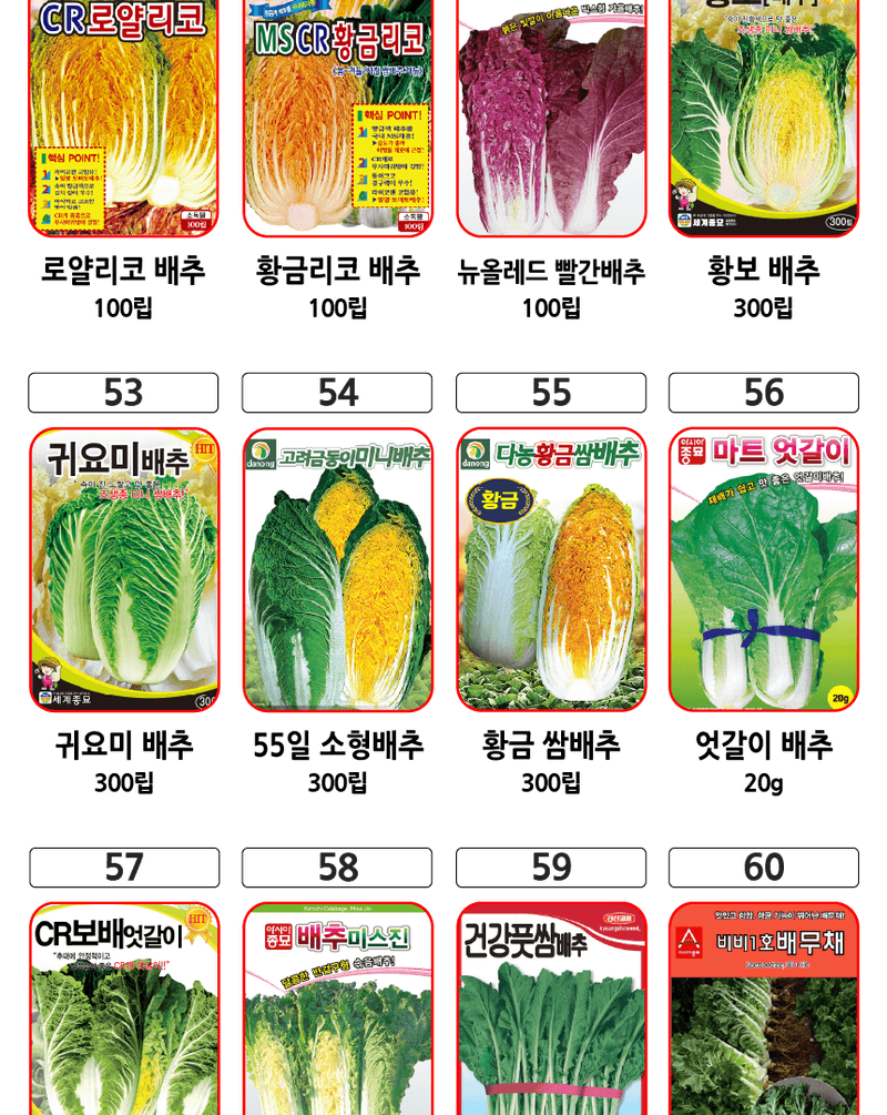 주주씨앗님의 장터 판매 상품 [2025 김장채소 씨앗 모음전 / 무, 배추, 갓, 양파, 시금치, 알타리, 당근 씨앗] 첨부 사진