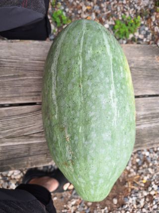 행복한일상님의 자유주제 · 자유게시판 작성글 사진