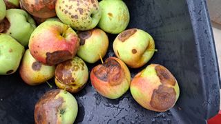 정병묵님의 기타작물 · 자유게시판 작성글 사진