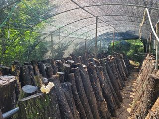 윤기성님의 자유주제 · 자유게시판 작성글 사진