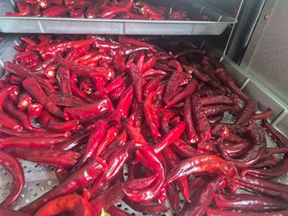 알 수 없음님의 자유주제 · 자유게시판 작성글 사진