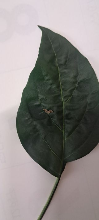 들깨13571님의 자유주제 · 자유게시판 작성글 사진