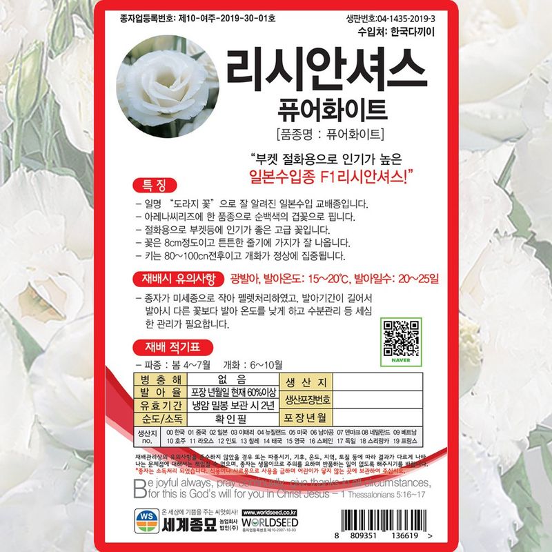 산들마켓,씨앗마켓님의 장터 판매 상품 [리시안셔스 퓨어화이트 씨앗 10립 일본수입종 도라지꽃 종자 5봉 구매시+랜덤씨앗 1개 증정 ] 첨부 사진