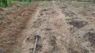 MSG0074님의 자유주제 · 자유게시판 작성글 사진