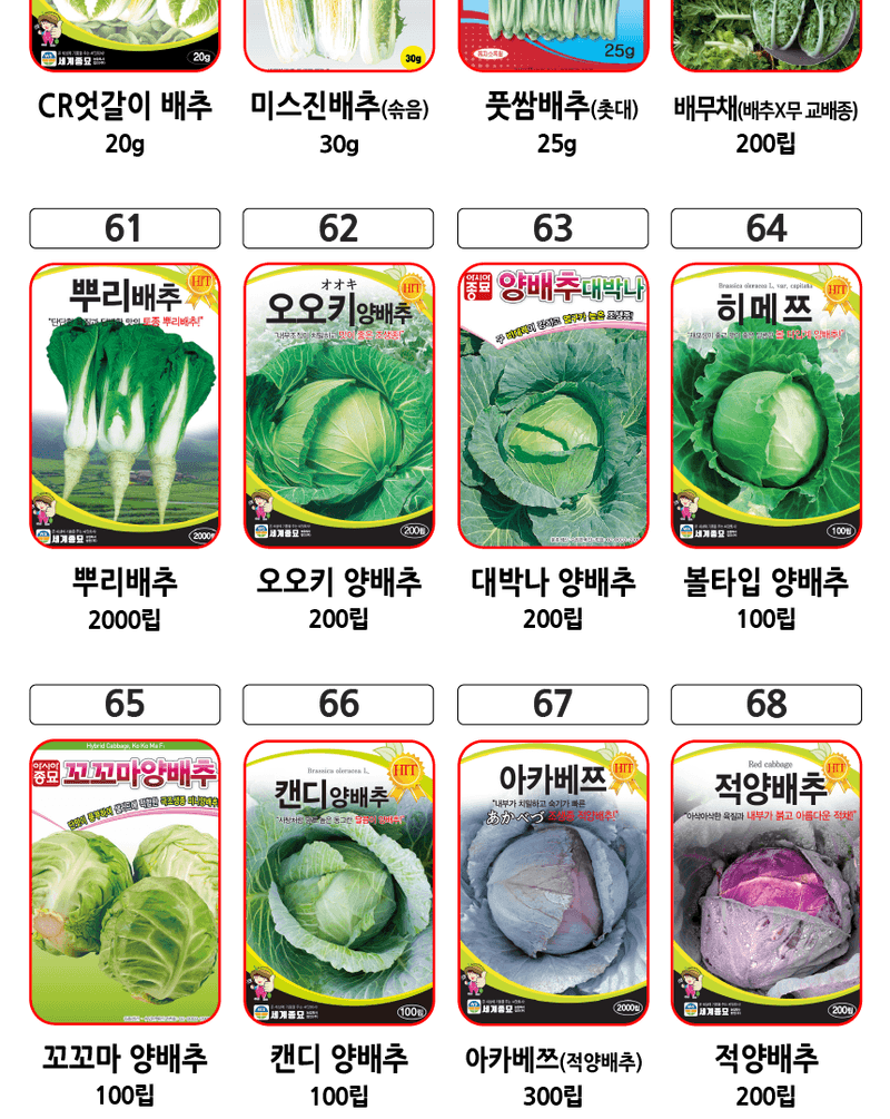 주주씨앗님의 장터 판매 상품 [2025 김장채소 씨앗 모음전 / 무, 배추, 갓, 양파, 시금치, 알타리, 당근 씨앗] 첨부 사진