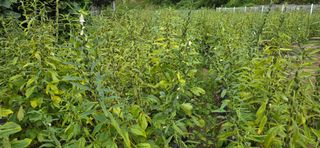 민우님의 자유주제 · 자유게시판 작성글 사진