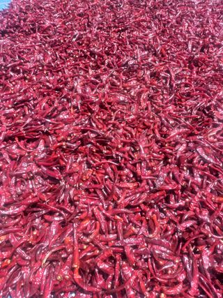 알 수 없음님의 작성글 사진