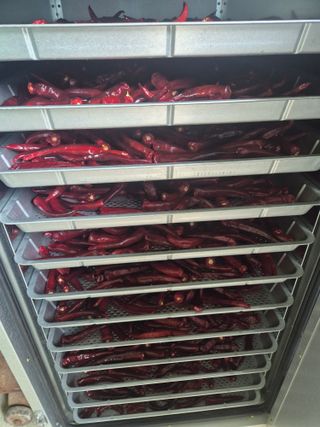 알 수 없음님의 자유주제 · 자유게시판 작성글 사진