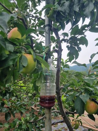 김용대님의 자유주제 · 자유게시판 작성글 사진