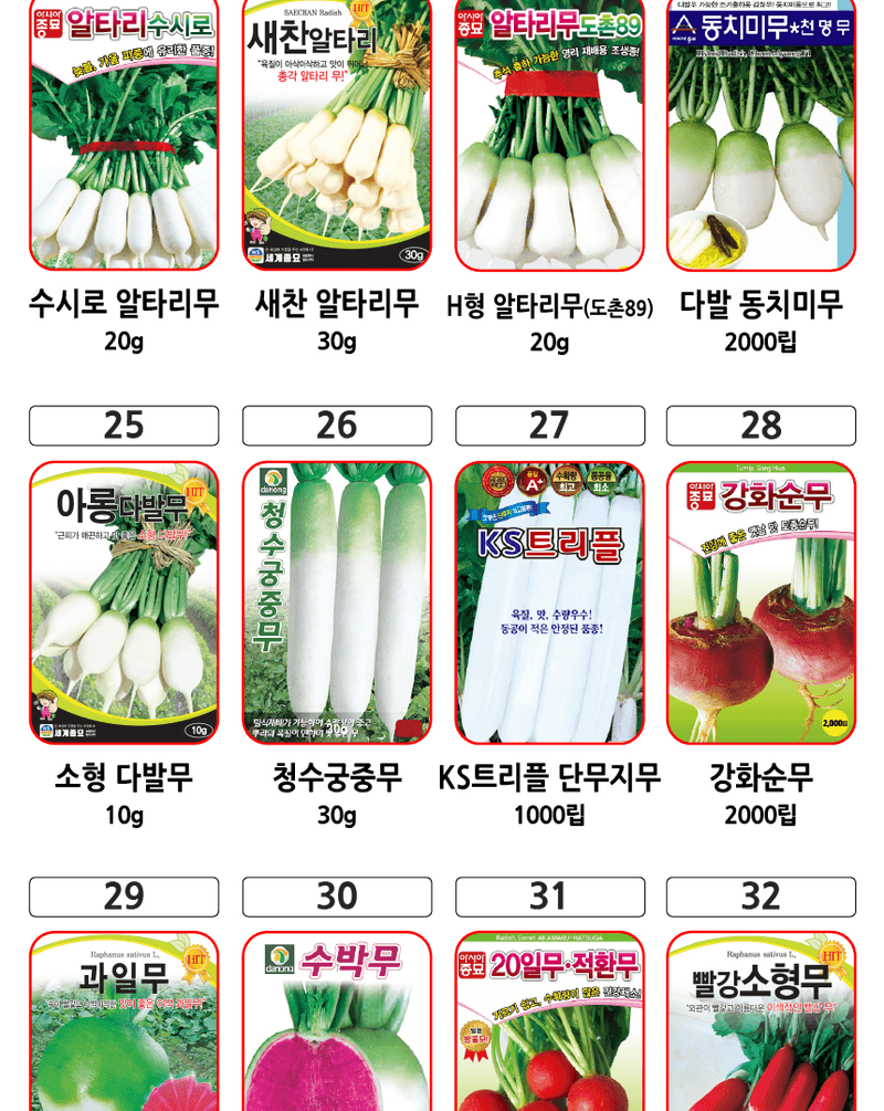 주주씨앗님의 장터 판매 상품 [2025 김장채소 씨앗 모음전 / 무, 배추, 갓, 양파, 시금치, 알타리, 당근 씨앗] 첨부 사진