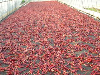 김순례님의 자유주제 · 자유게시판 작성글 사진