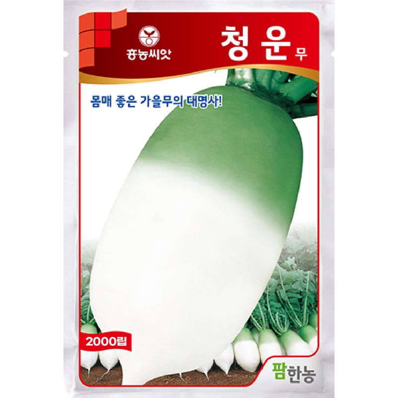 장터 상품 [[팜한농] 청운무 2000립 / 가을 김장무 씨앗] 썸네일