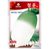 팜모닝 · 게시글 이미지