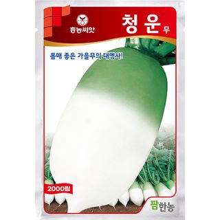 주주씨앗님의 작성글 사진