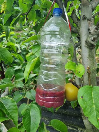 김용대님의 자유주제 · 자유게시판 작성글 사진