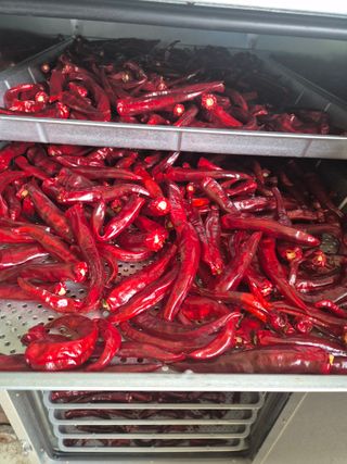 알 수 없음님의 자유주제 · 자유게시판 작성글 사진