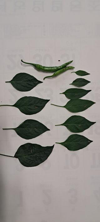 들깨13571님의 자유주제 · 자유게시판 작성글 사진