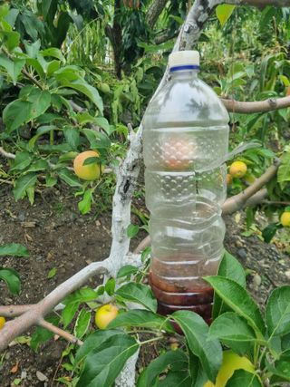 김용대님의 자유주제 · 자유게시판 작성글 사진