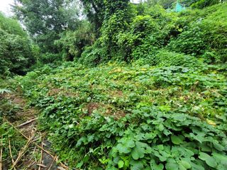 미날기미(김원영)님의 자유주제 · 자유게시판 작성글 사진