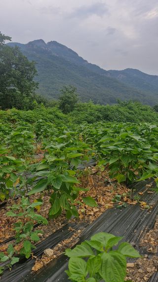 정석구님의 자유주제 · 자유게시판 작성글 사진