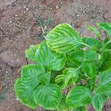 팜모닝 자유주제·사진전 게시글 이미지