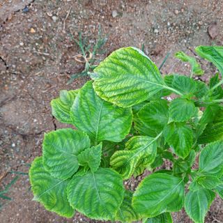 김기섭님의 자유주제 · 사진전 작성글 사진