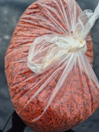 알 수 없음님의 자유주제 · 자유게시판 작성글 사진