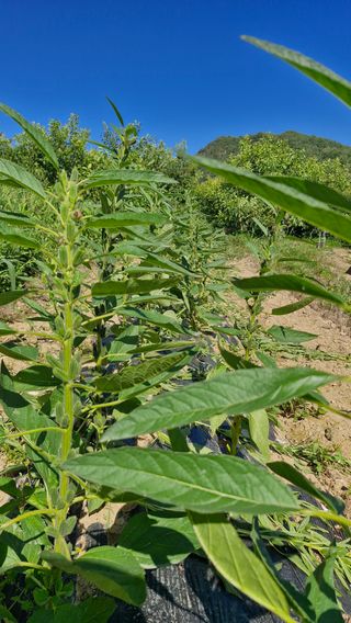 정석구님의 자유주제 · 자유게시판 작성글 사진