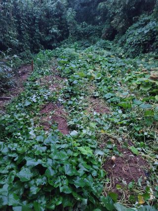 미날기미(김원영)님의 자유주제 · 자유게시판 작성글 사진