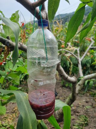 김용대님의 자유주제 · 자유게시판 작성글 사진