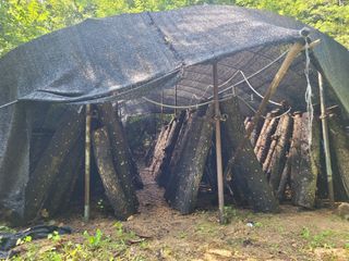 윤기성님의 자유주제 · 자유게시판 작성글 사진