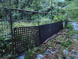 미날기미(김원영)님의 자유주제 · 자유게시판 작성글 사진