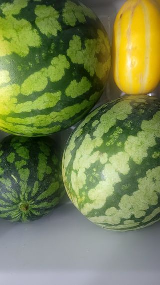 행복농장아다나님의 자유주제 · 자유게시판 작성글 사진