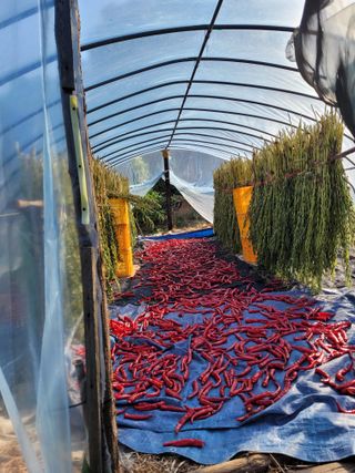 (어울림)님의 자유주제 · 자유게시판 작성글 사진