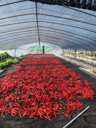 김순례님의 자유주제 · 자유게시판 작성글 사진