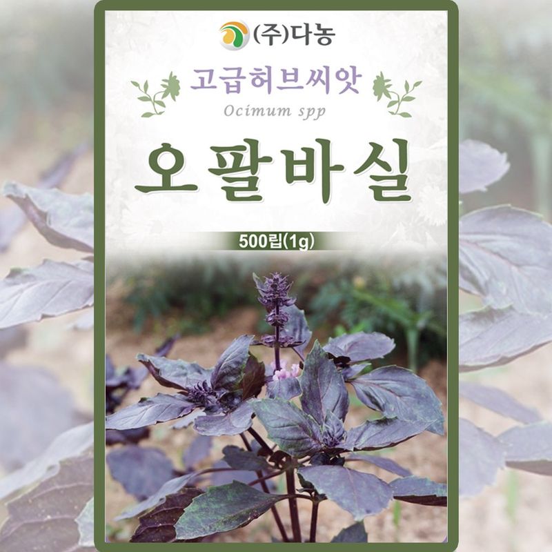 장터 상품 [오팔바실 씨앗 500립 자색바시5 꽃씨 허브 종자 3개+랜덤씨앗1개 증정] 썸네일