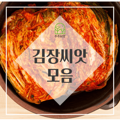 장터 상품 [2025 김장채소 씨앗 모음전 / 무, 배추, 갓, 양파, 시금치, 알타리, 당근 씨앗] 썸네일