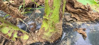 민우님의 자유주제 · 자유게시판 작성글 사진