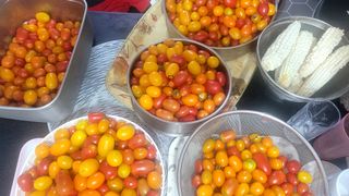 행복농장아다나님의 자유주제 · 자유게시판 작성글 사진