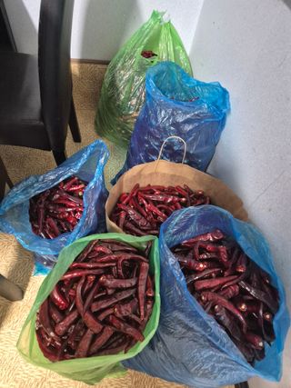 알 수 없음님의 자유주제 · 자유게시판 작성글 사진