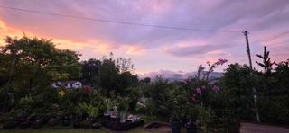 달맛햇복숭아농원님의 자유주제 · 사진전 작성글 사진