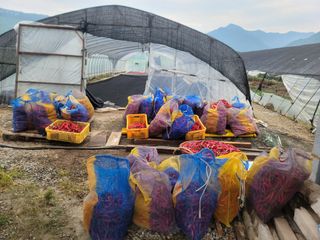 김순례님의 자유주제 · 자유게시판 작성글 사진