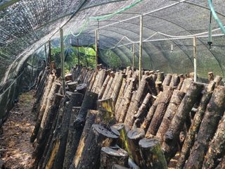 윤기성님의 자유주제 · 자유게시판 작성글 사진