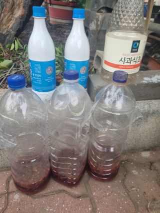 김용대님의 자유주제 · 자유게시판 작성글 사진